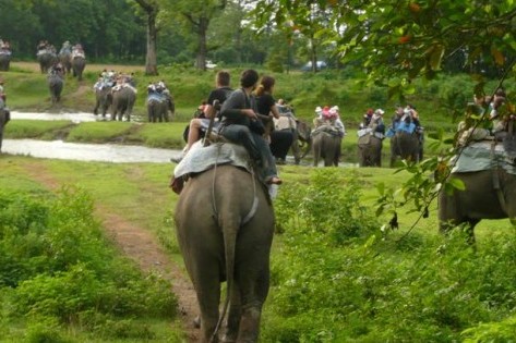 Chitwan Safari Tour